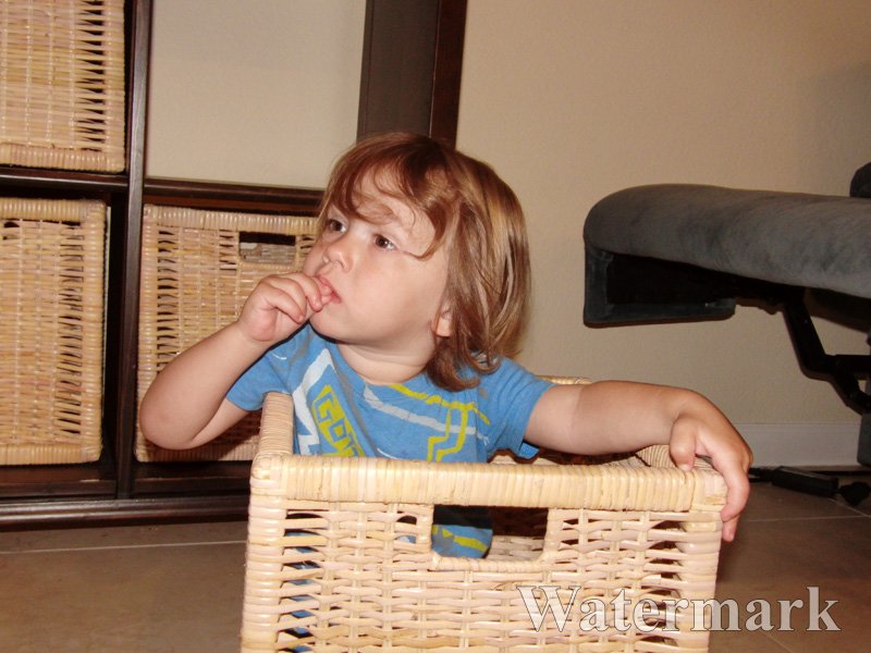 1yr-07-31-10--001