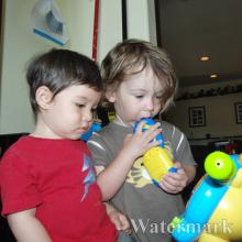 1yr-08-15-10--001