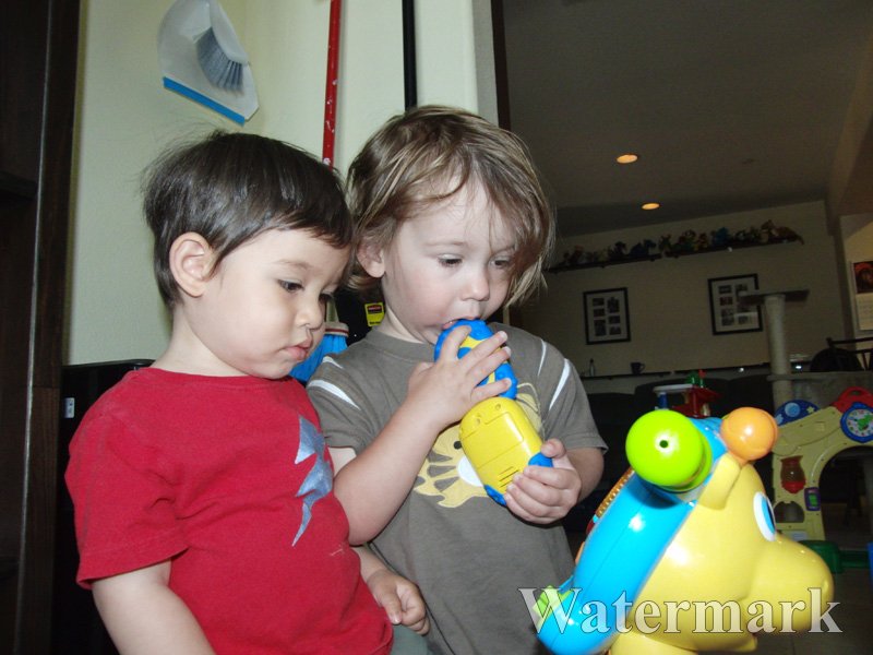 1yr-08-15-10--001